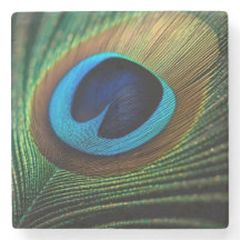 Peacock Jewel