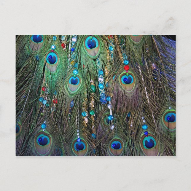 Peacock Jewelery Vykort (Framsida)
