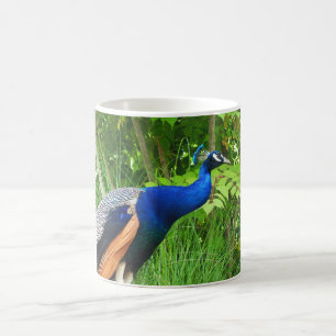 Peacock Kaffemugg