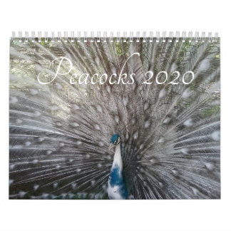 Peacock Kalender