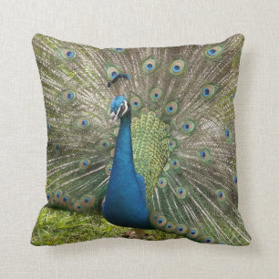 Peacock Kudde