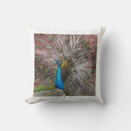 Peacock Kudde