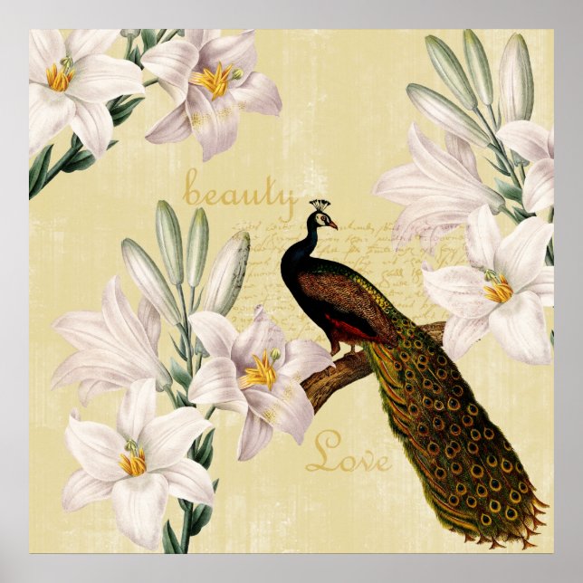 Peacock Lilies Poster (Framsidan)