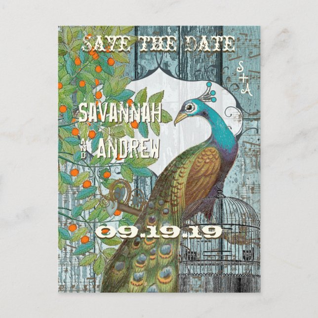 Peacock Love Bird Sitta i ett Träd Spara datum Meddelande Vykort (Framsida)