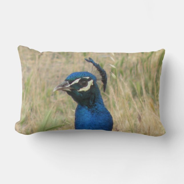 Peacock Lumbar Pillow Lumbarkudde (Framsida)