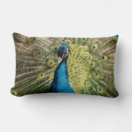 Peacock Lumbarkudde