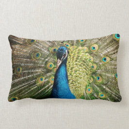 Peacock Lumbarkudde