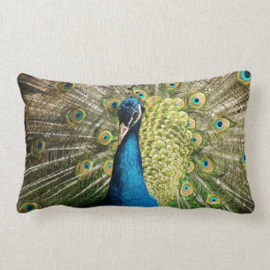 Peacock Lumbarkudde