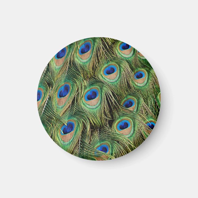 Peacock Magnet (Framsidan)