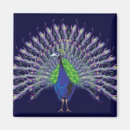 Peacock Magnets Magnet
