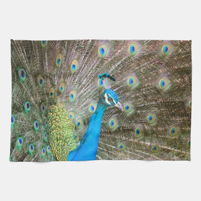 Peacock med Feathers Fanned - Wildlife Bird Photo Kökshandduk (Horisontell)
