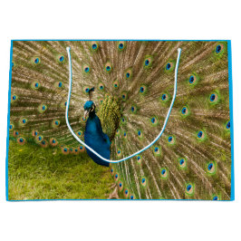 Peacock med sin vackra Feather Gift Bag