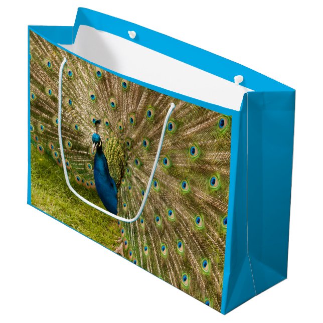 Peacock med sin vackra Feather Gift Bag (Framsidan Vinklad)