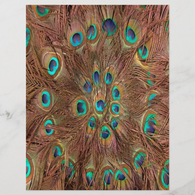 Peacock mönster Background (Framsida)