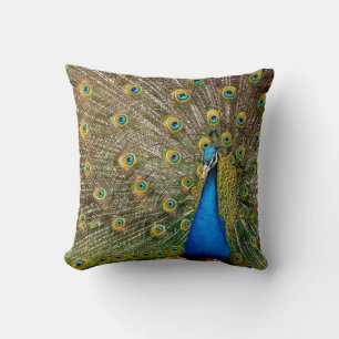 Peacock Mönster Peacock Artwork-målning Kudde