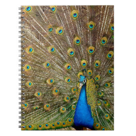 Peacock Mönster Peacock Artwork Paearin Ar Anteckningsbok