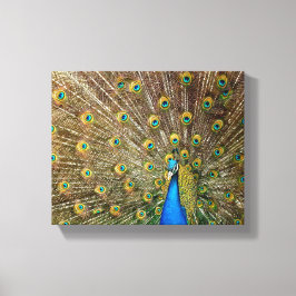 Peacock Mönster Peacock Artwork Paearin Ar Canvastryck