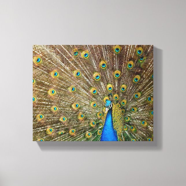 Peacock Mönster Peacock Artwork Paearin Ar Canvastryck (Framsida)