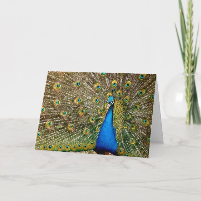 Peacock Mönster Peacock Artwork Paearin Ar Kort (Framsida)