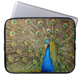 Peacock Mönster Peacock Artwork Paearin Ar Laptop Fodral