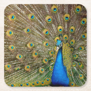 Peacock Mönster Peacock Artwork Paearin Ar Underlägg Papper Kvadrat