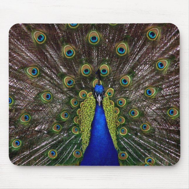 Peacock Mouse Pad Musmatta (Framsidan)