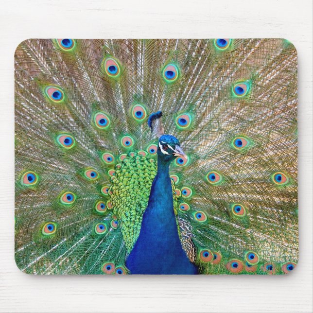 Peacock Mouse Pad Musmatta (Framsidan)