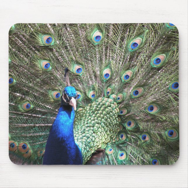 Peacock Mousepad Musmatta (Framsidan)