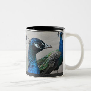 Peacock Mugg