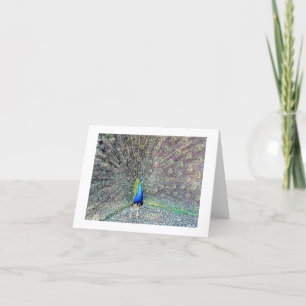 Peacock Note-kort Kort