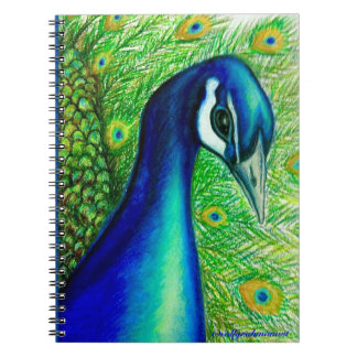 Peacock notebook anteckningsbok