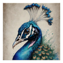 Peacock nr 6 Glossy Poster
