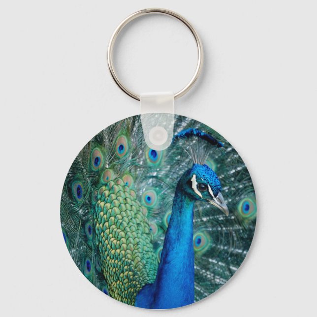 Peacock, nyckelkedja nyckelring (Framsida)