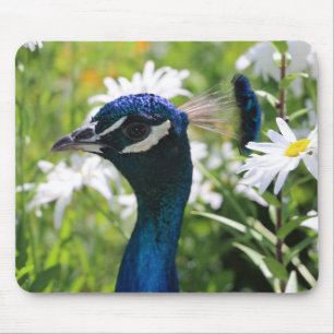 Peacock och Daisy Mouse Pad Musmatta