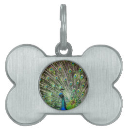 Peacock och fjädrar, fototillbehör ID-bricka husdjur