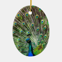 Peacock och fjädrar, fototillbehör julgransprydnad keramik