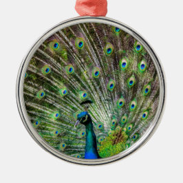 Peacock och fjädrar, fototillbehör julgransprydnad metall
