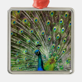 Peacock och fjädrar, fototillbehör julgransprydnad metall
