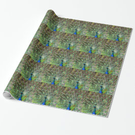 Peacock och fjädrar, fototillbehör presentpapper