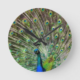 Peacock och fjädrar, fototillbehör rund klocka
