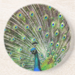 Peacock och fjädrar, fototillbehör underlägg