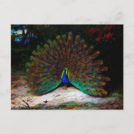 Peacock och Peacock Butterfly Vykort
