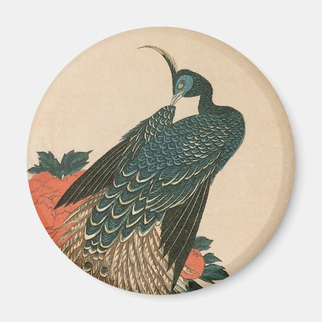 Peacock och Peonies by Hiroshige, Japansk konst Magnet (Framsidan)