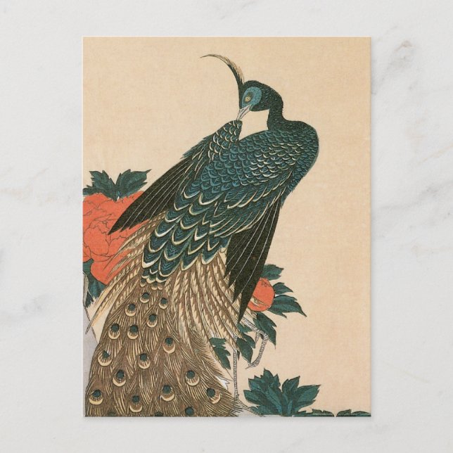 Peacock och Peonies by Hiroshige, Japansk konst Vykort (Framsida)