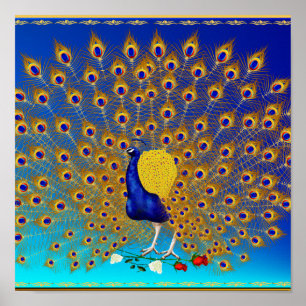 Peacock och Ro-omfattande Poster