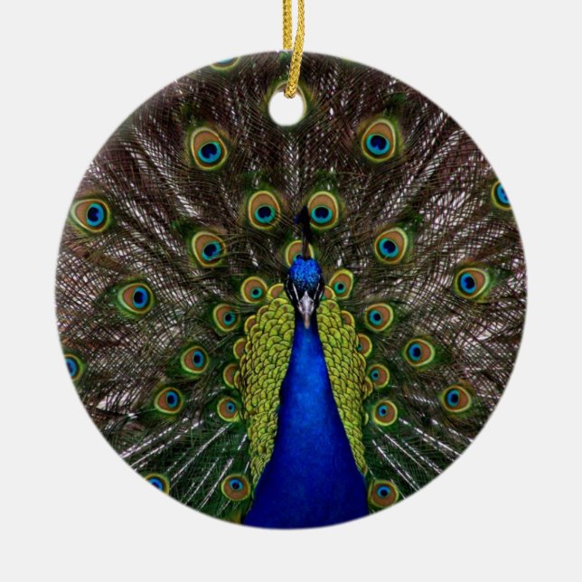 Peacock Ornament (Framsidan)