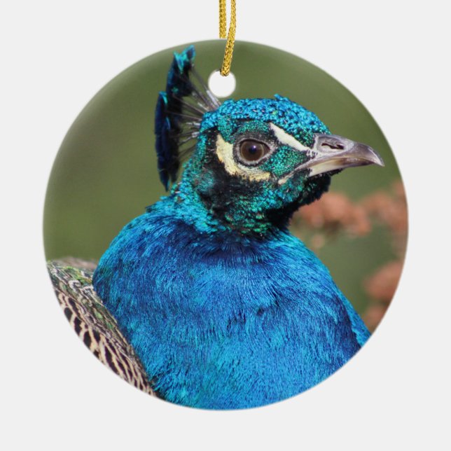 Peacock Ornament (Framsidan)