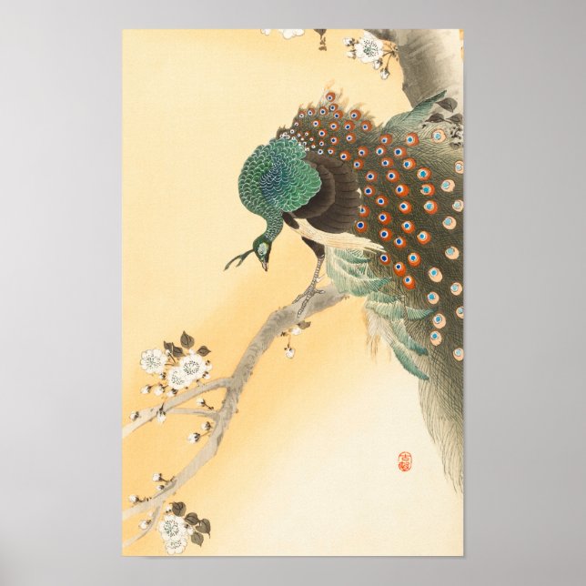 Peacock på Cherry Blommar Träd av Ohara Koson Poster (Framsidan)