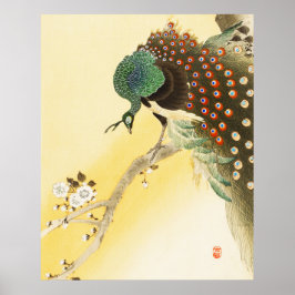 Peacock på Cherry Blommar Träd Poster