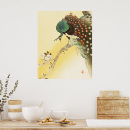 Peacock på Cherry Blommar Träd Poster